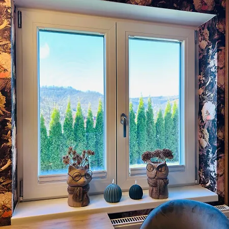 Wohnung Goethe'S Bergblick Bad Harzburg Exterior foto